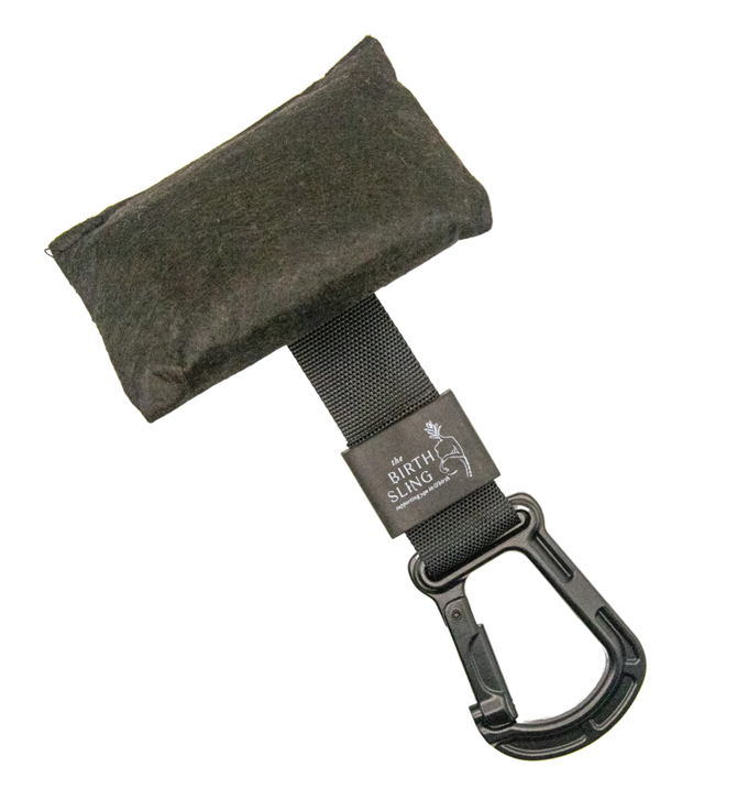 Fæðingaróla - til leigu